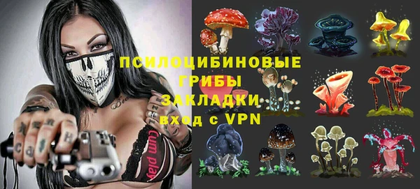 марки lsd Краснослободск