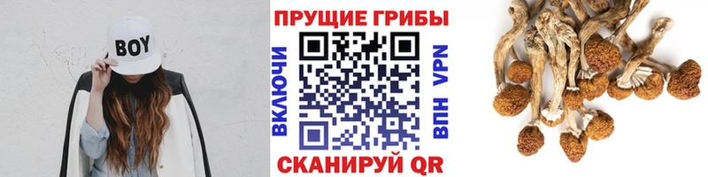 Псилоцибиновые грибы ЛСД  Купить  Остров 